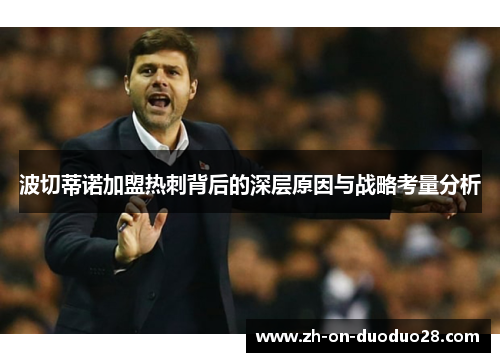 波切蒂诺加盟热刺背后的深层原因与战略考量分析