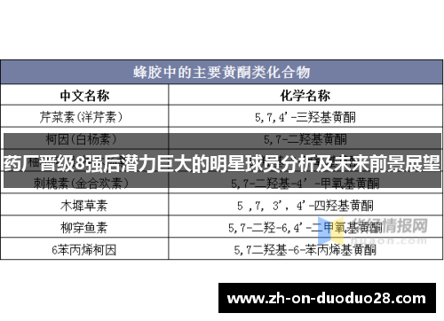 药厂晋级8强后潜力巨大的明星球员分析及未来前景展望