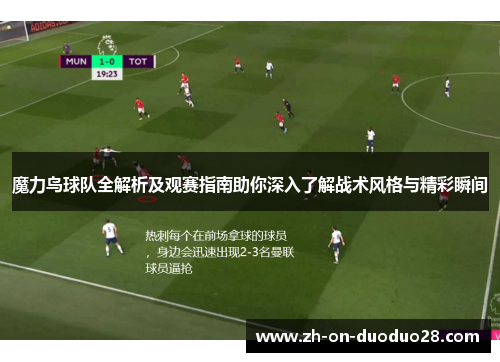 魔力鸟球队全解析及观赛指南助你深入了解战术风格与精彩瞬间 魔力鸟球队全解析及观赛指南助你深入了解战术风格与精彩瞬间